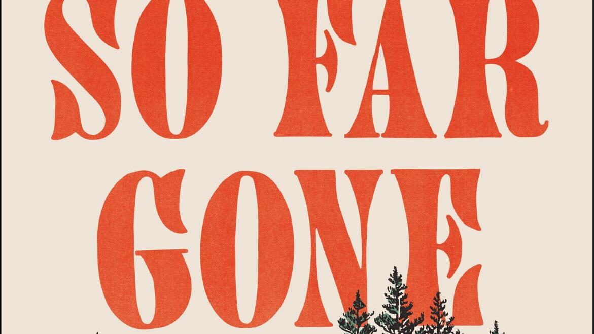 Jess Walter uses one family's story to represent ills of a nation in 'So Far Gone'